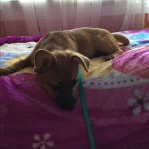 Meet your Posher, Jaclyn